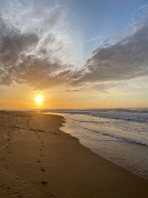 Warm sand and gentle waves meet at the shoreline.