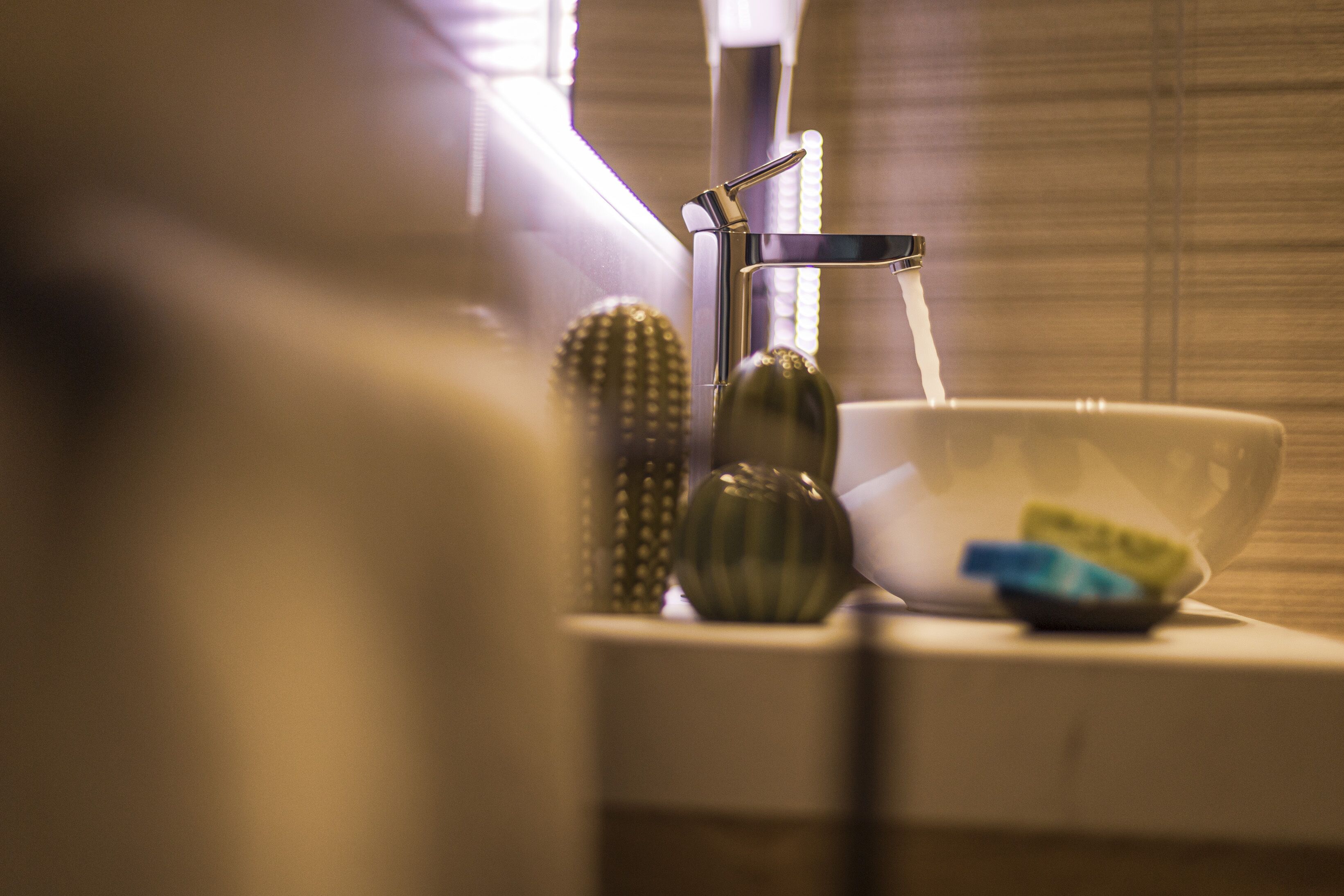 Une salle de bain avec un robinet moderne, un lavabo et un cactus.