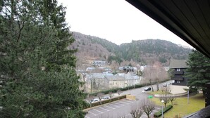 A view of a parking lot with several cars, surrounded by trees and buildings. - Duplex in Mont-Dore with parking, near center and slopes (Mont-Dore)