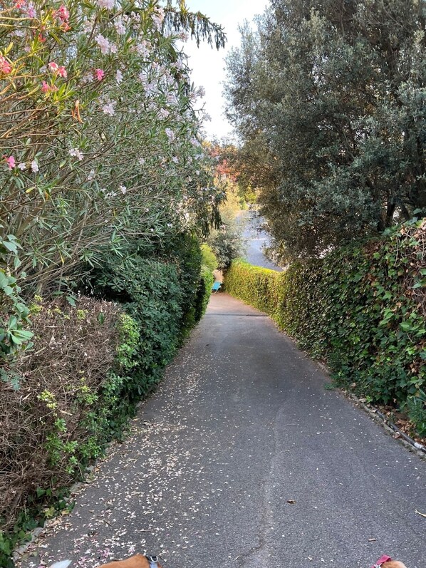 المنطقة المحيطة بالمنشأة