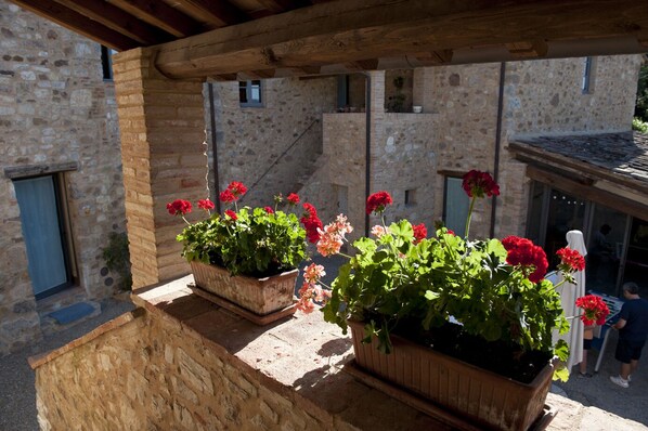 Property grounds - Apartment in the hart of Tuscany (colle di val d'elsa)