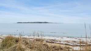 Eine Küstenlandschaft mit Sandstrand, spärlicher Vegetation und ruhiger See.