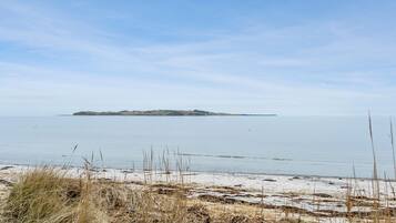 Beach nearby, fishing