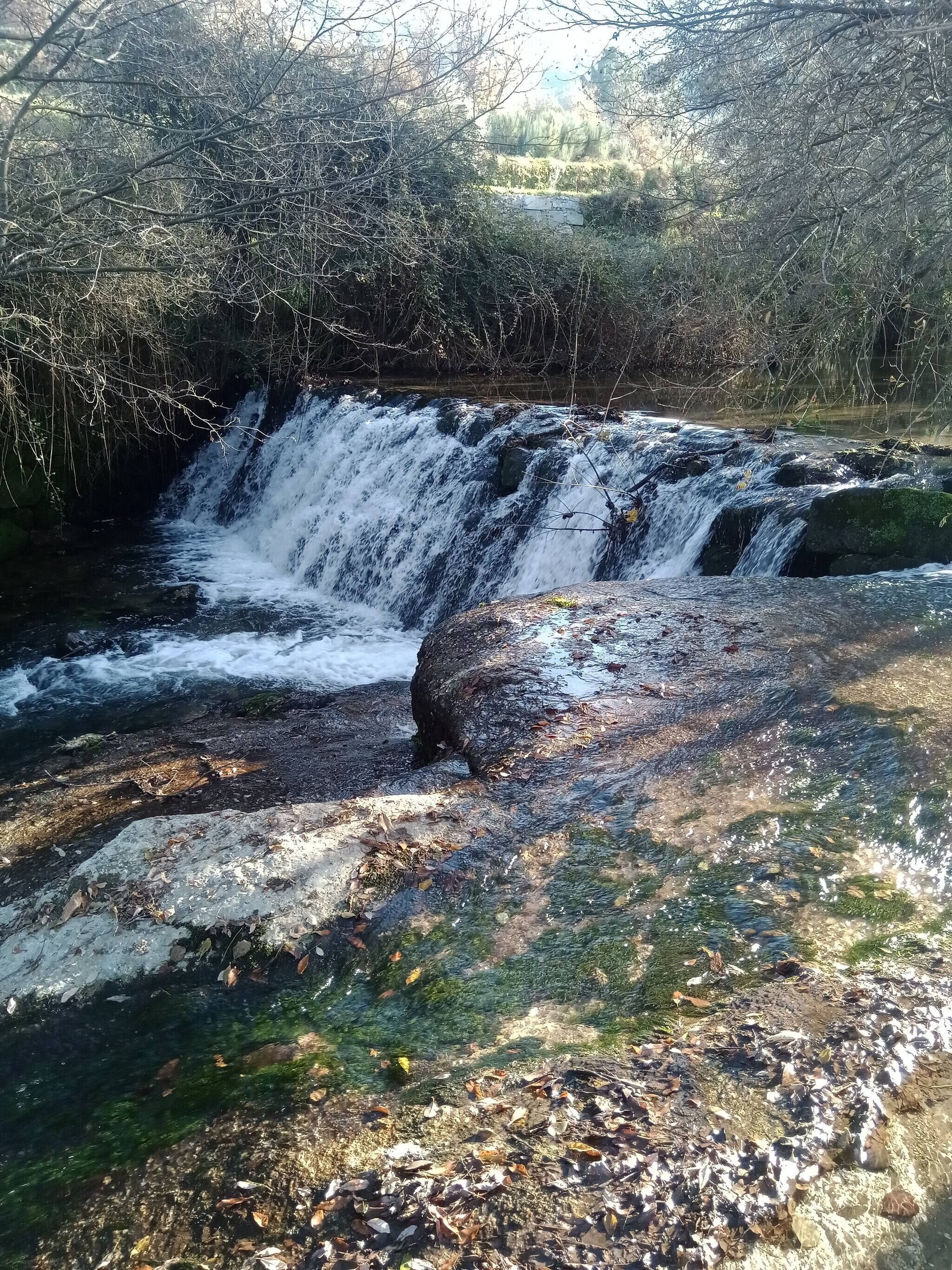 A waterfall in a natural setting with surrounding trees and rocks.