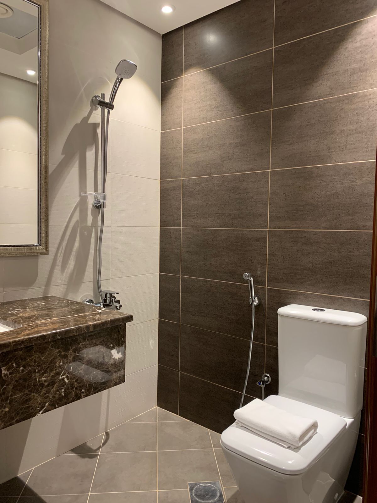 A modern bathroom with a marble countertop, a shower with a handheld showerhead, and a toilet.