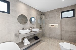 Regadera, secadora de cabello, bidet, toallas 