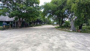 A rural setting with a green house, a paved road, and trees. - ZIMPARKS BOOKINGS (Hammanskraal)