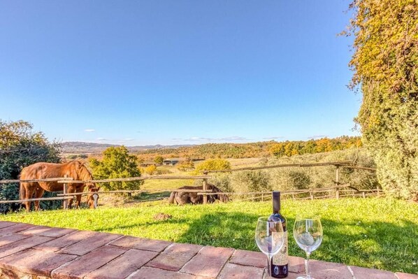 A brick table with two wine glasses and a bottle, overlooking a grassy field with horses.