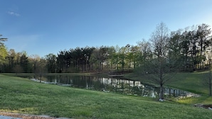 Un parc avec un étang, une table de pique-nique et des arbres.