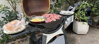 Apartamento Abierto Privado con Patio ,en Chalet de Lujo , Mascotas si