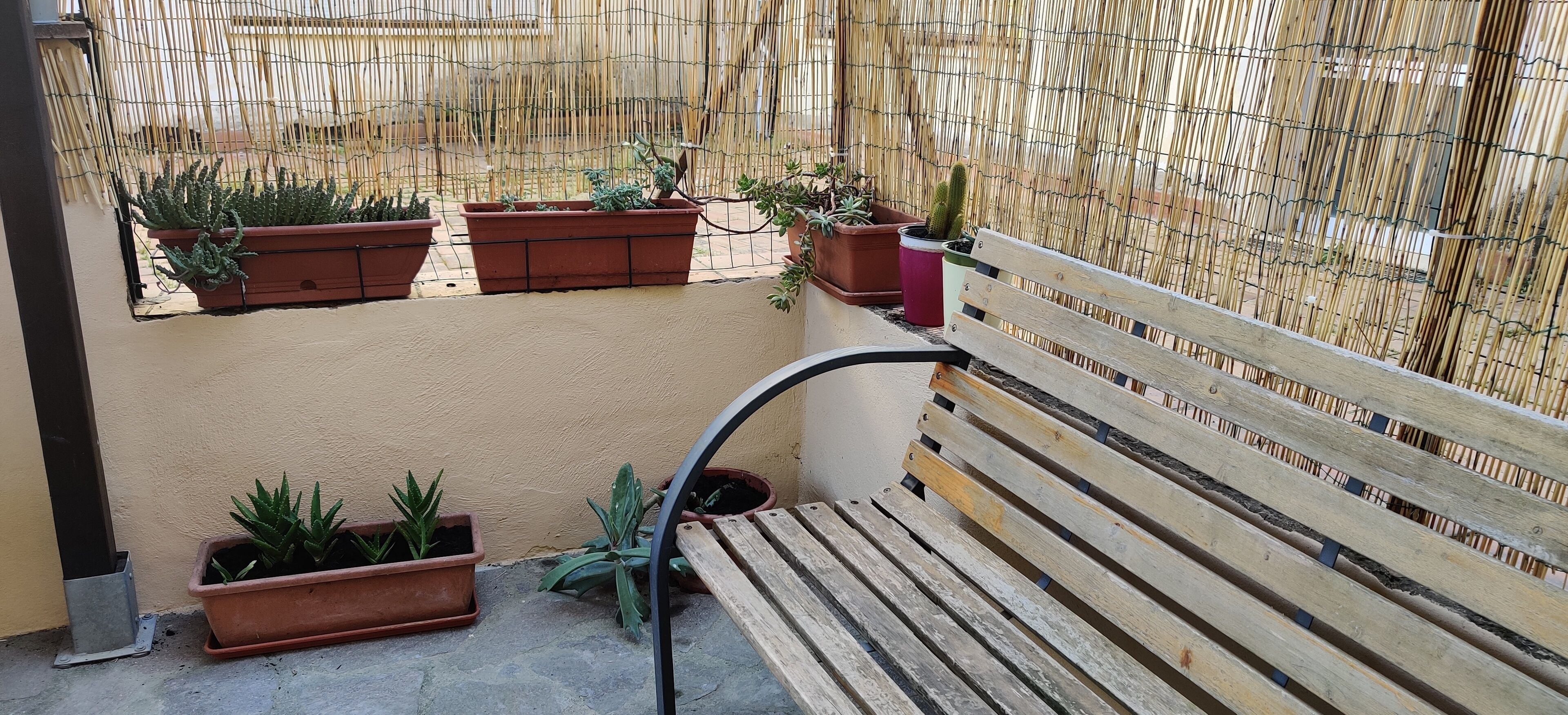 Un banc en bois doté d’un dossier incurvé, entouré de plantes en pot et d’une clôture en bambou.