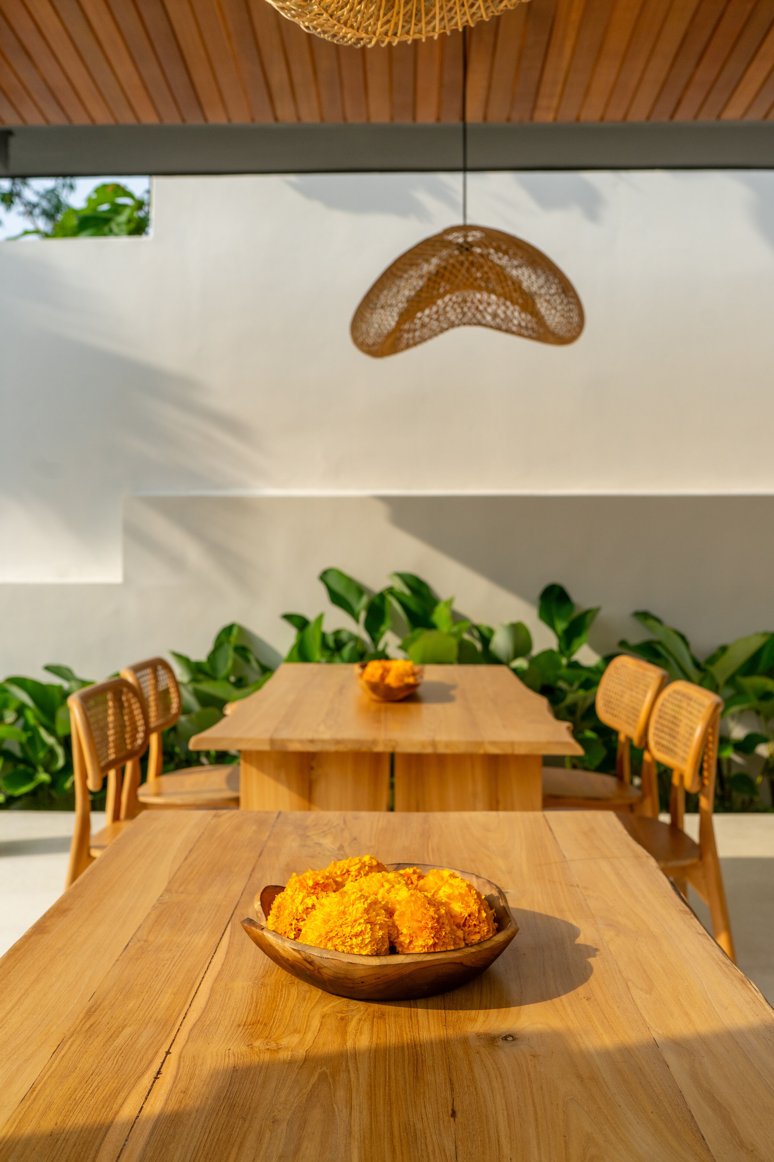 A wooden dining table with a bowl of food, surrounded by wicker chairs, under a woven pendant light, with green plants in the background.