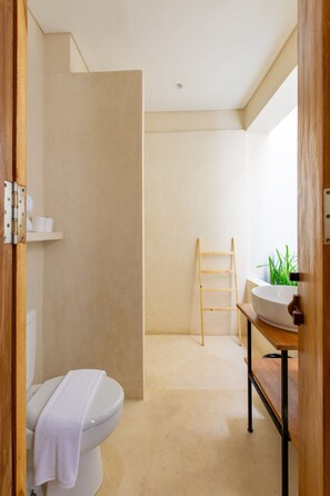 Habitación estándar | Baño | Ducha, cabezal de ducha tipo lluvia, secador de pelo y toallas