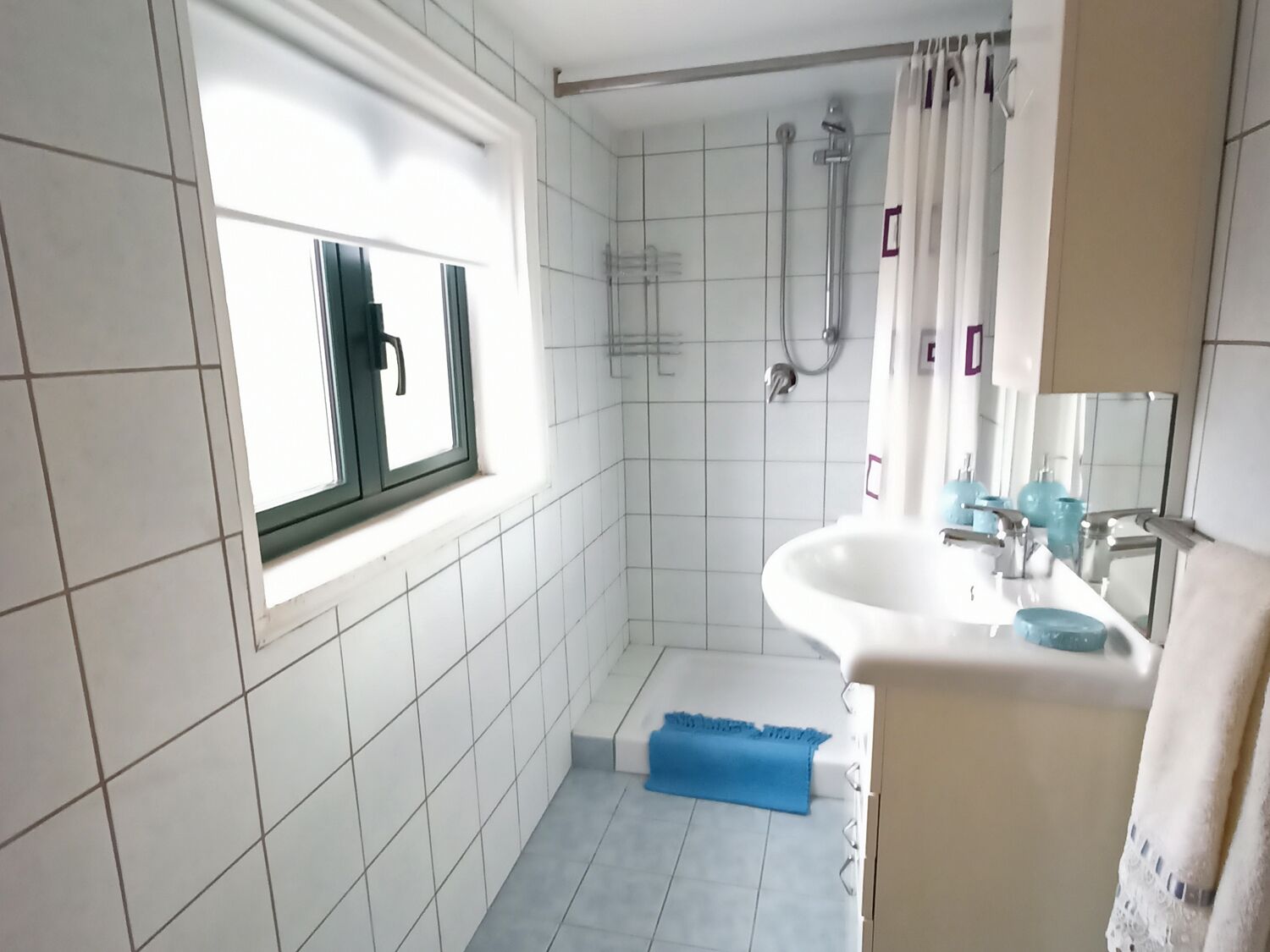 Apartment | Bathroom | Shower, hair dryer, towels, toilet paper