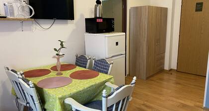 Family Apartment No 14 im Stadtzentrum am Park Teplice