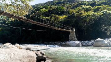 Un puente colgante de madera sobre un río con rocas y un páramo boscoso al fondo.