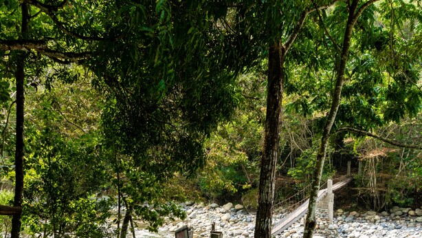 A stone pathway leading to a wooden bridge over a river, surrounded by dense greenery.