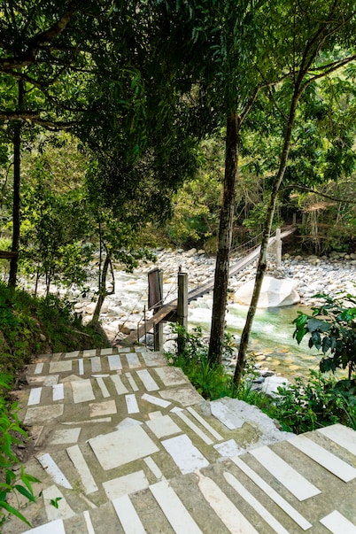 Casa de campo Los Yungas