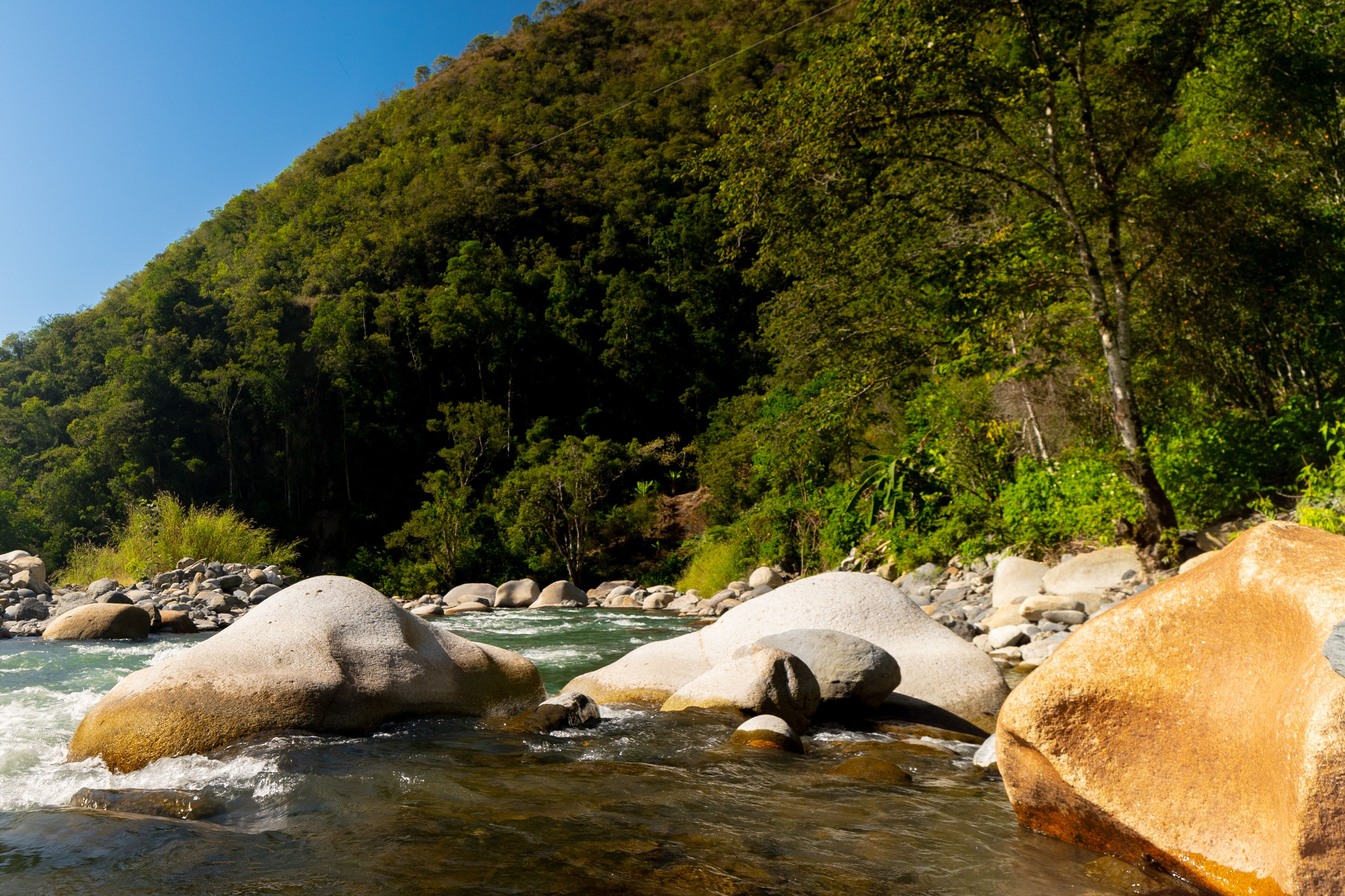 A river with large rocks and a forested hillside in the background.