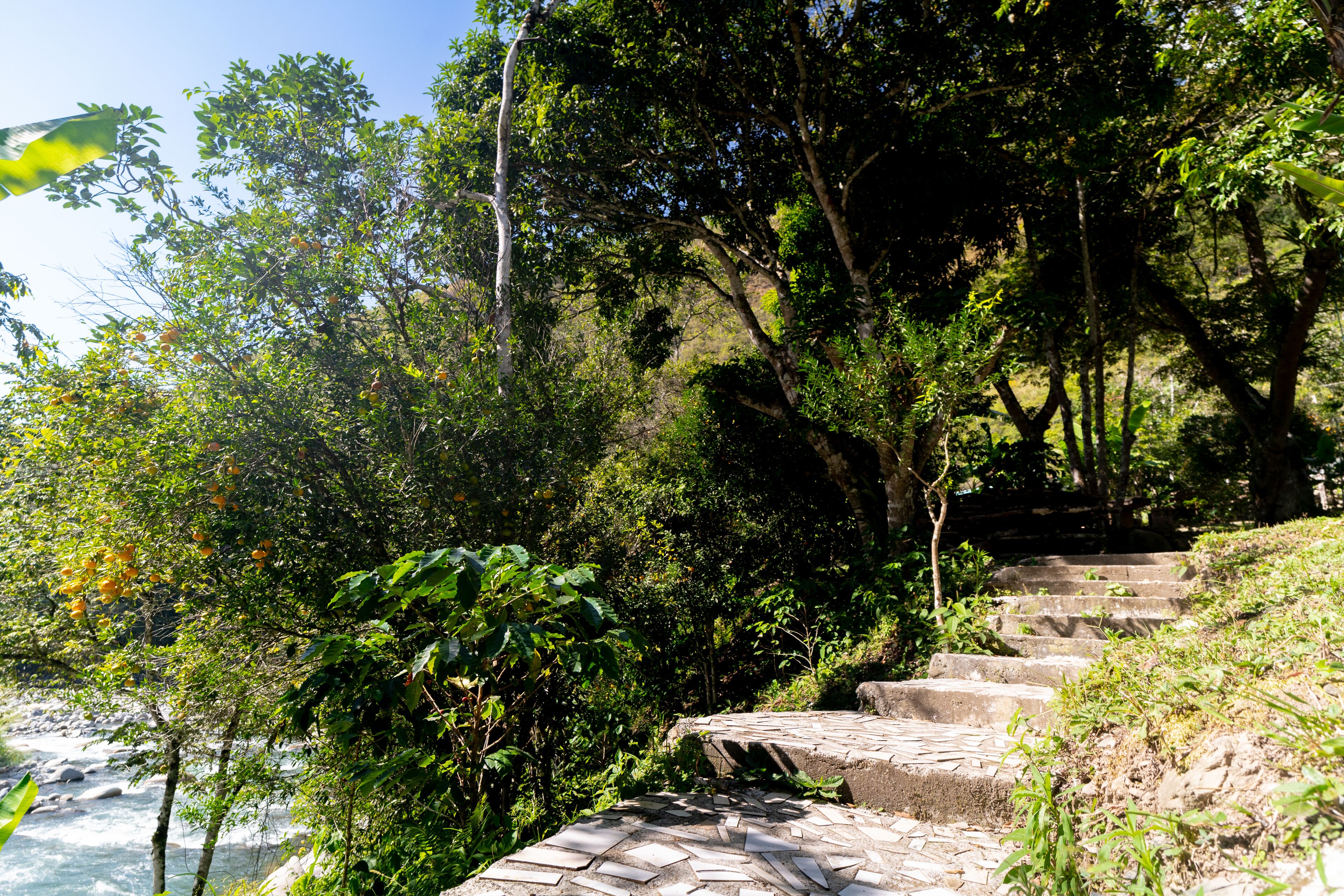 Un escalier en pierre qui monte le long d’une colline, avec une rivière au pied de celle-ci.