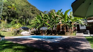 A swimming pool with a paved walkway, surrounded by lush greenery and banana trees.