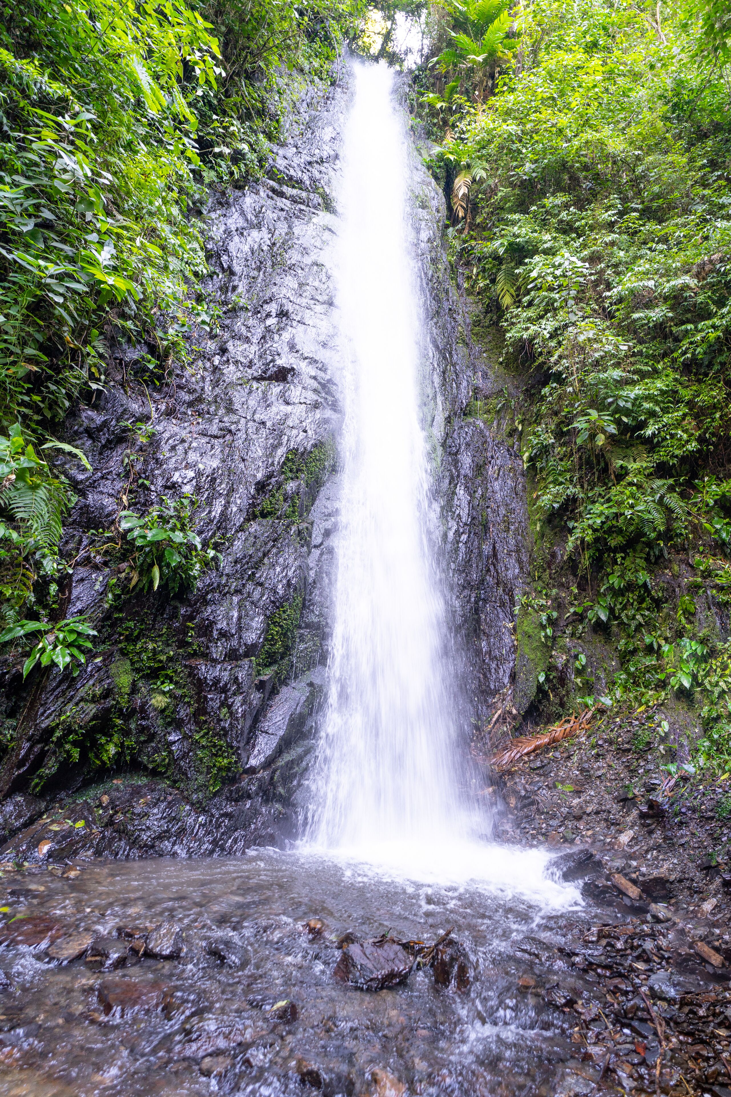 Une cascade se déversant le long d’une falaise rocheuse, entourée d’une végétation luxuriante.