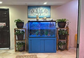Una habitación con un acuario grande, estantes de madera con plantas en macetas, un cuadro en la pared y un letrero que dice 'Beware of Dog' en la puerta.