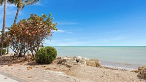 Una playa con un paseo pavimentado, palmeras y una vista despejada del océano.