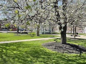 Boendeområde