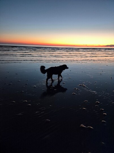 NEW City Villa Flut b. 14 persons w.Whirlpool & Sauna