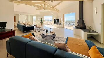 Télévision, cheminée, espaces bureaux