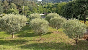 Property grounds - Maison Entre Rivière et Village (Vallon-Pont-d'Arc)