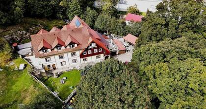 Harmont Montis (dawna Zającówka) leśna enklawa w centrum miasta