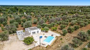 Una villa moderna con piscina, rodeada de olivares.