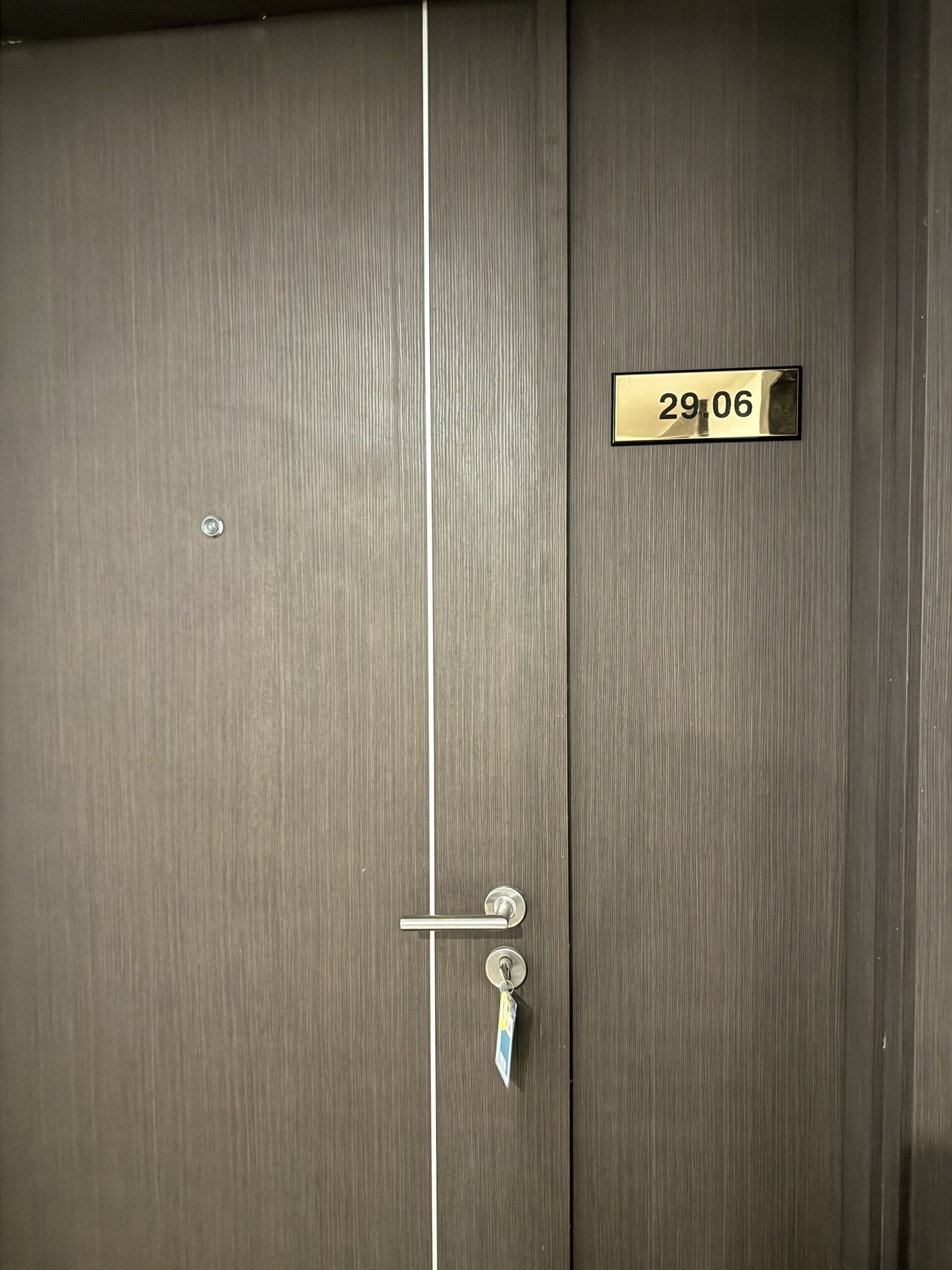 Une porte en bois avec une poignée en métal et un trou de serrure, ainsi qu’une plaque en laiton portant le numéro 29,06.