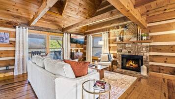 Smart TV, fireplace, books