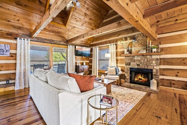 Smart TV, fireplace, books