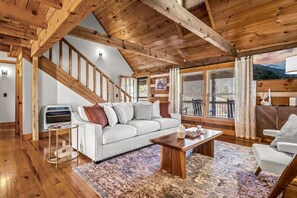 TV connectée, cheminée, livres