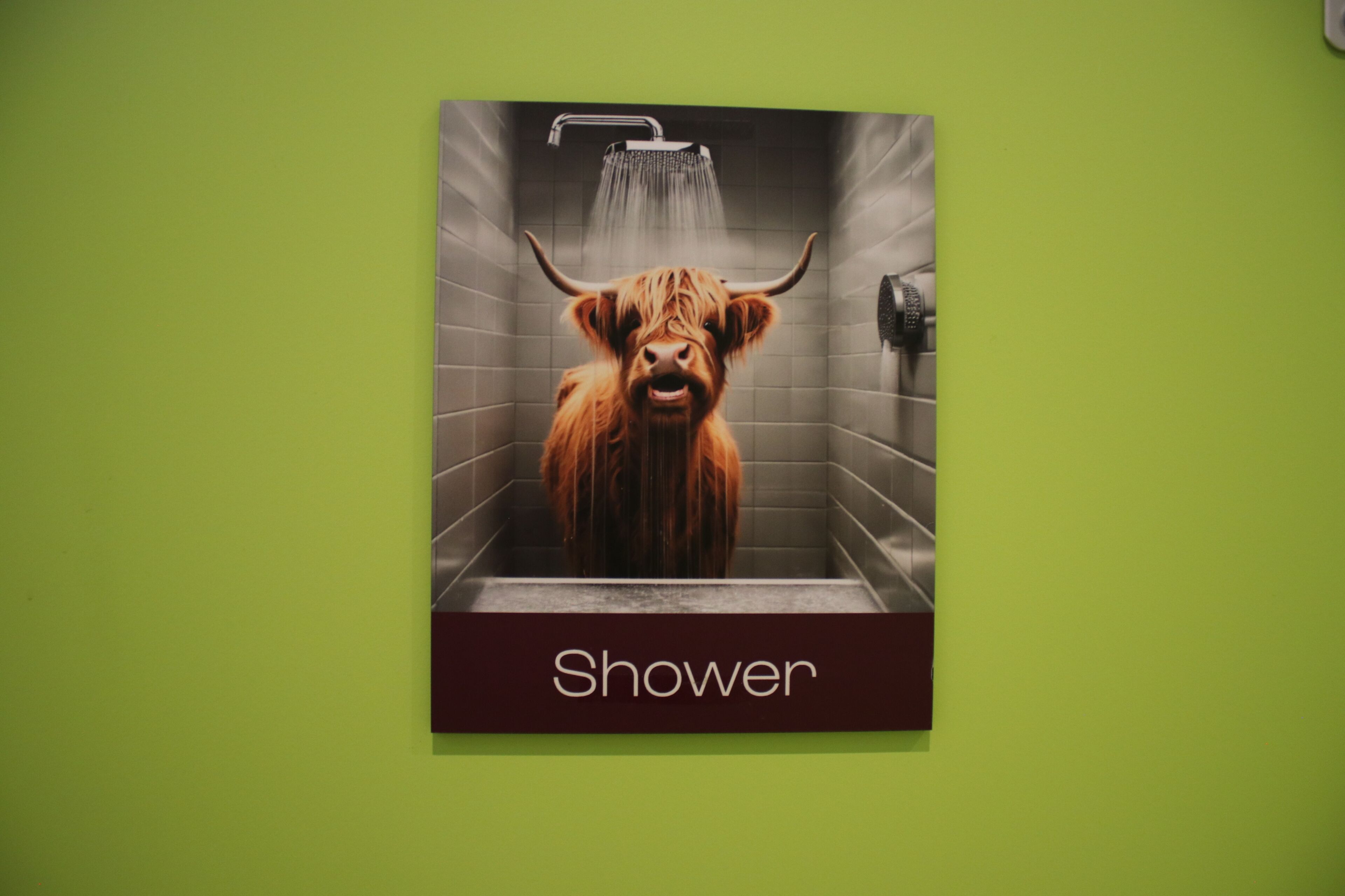 A bathroom with a shower area featuring a high-heeled animal.
