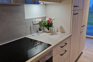 Private kitchen - Neubau Apartment "flut Unten" (Schülp)