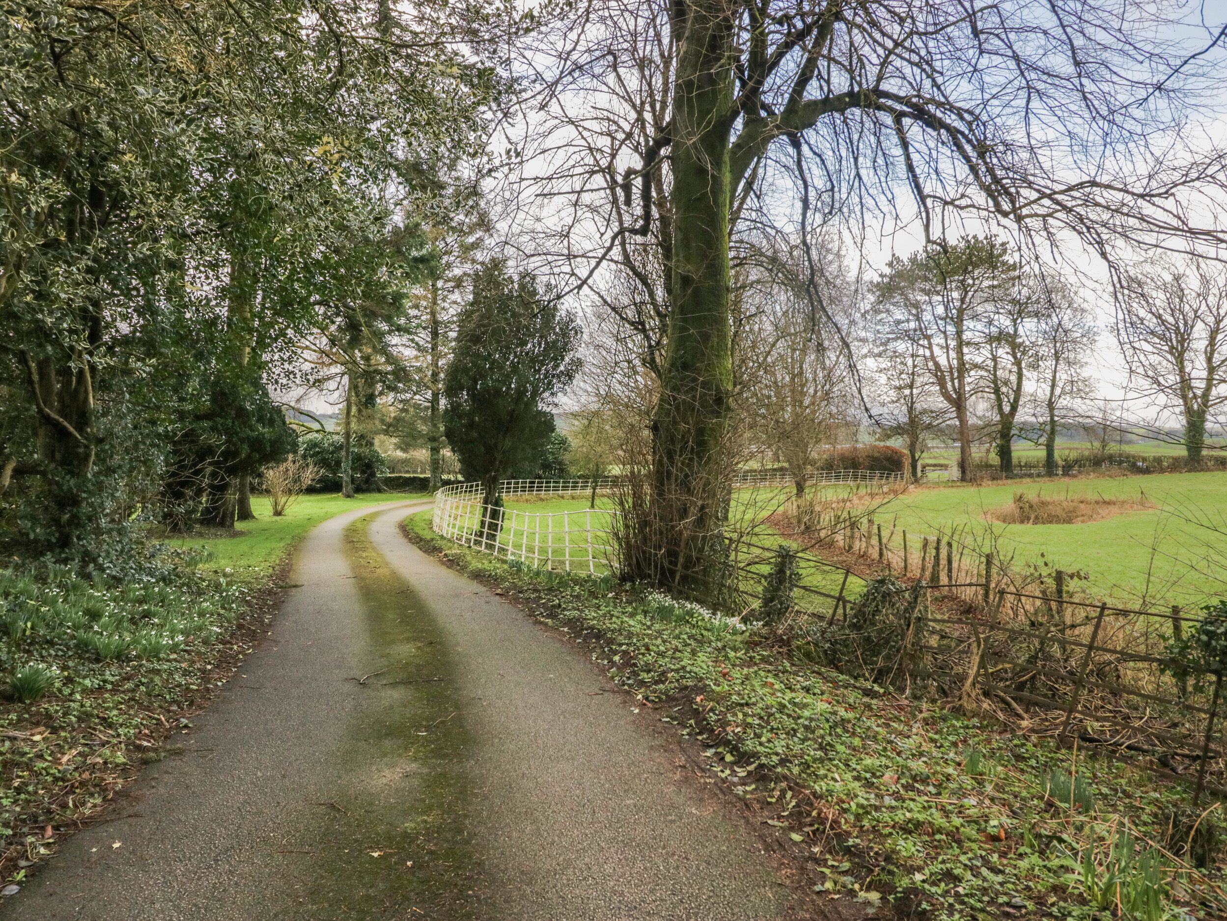 Een smalle landweg, omzoomd door bomen en een witte hekken.'