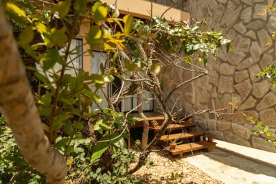 Lofts Lobo Guara