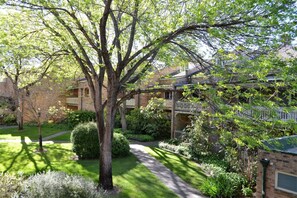Property grounds - Spacious 2BR APT Next to the City (Reid)