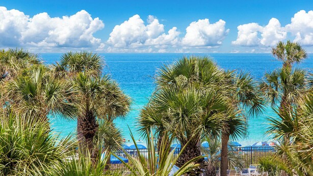 Uitzicht op een strand met palmbomen en een helderblauwe lucht.