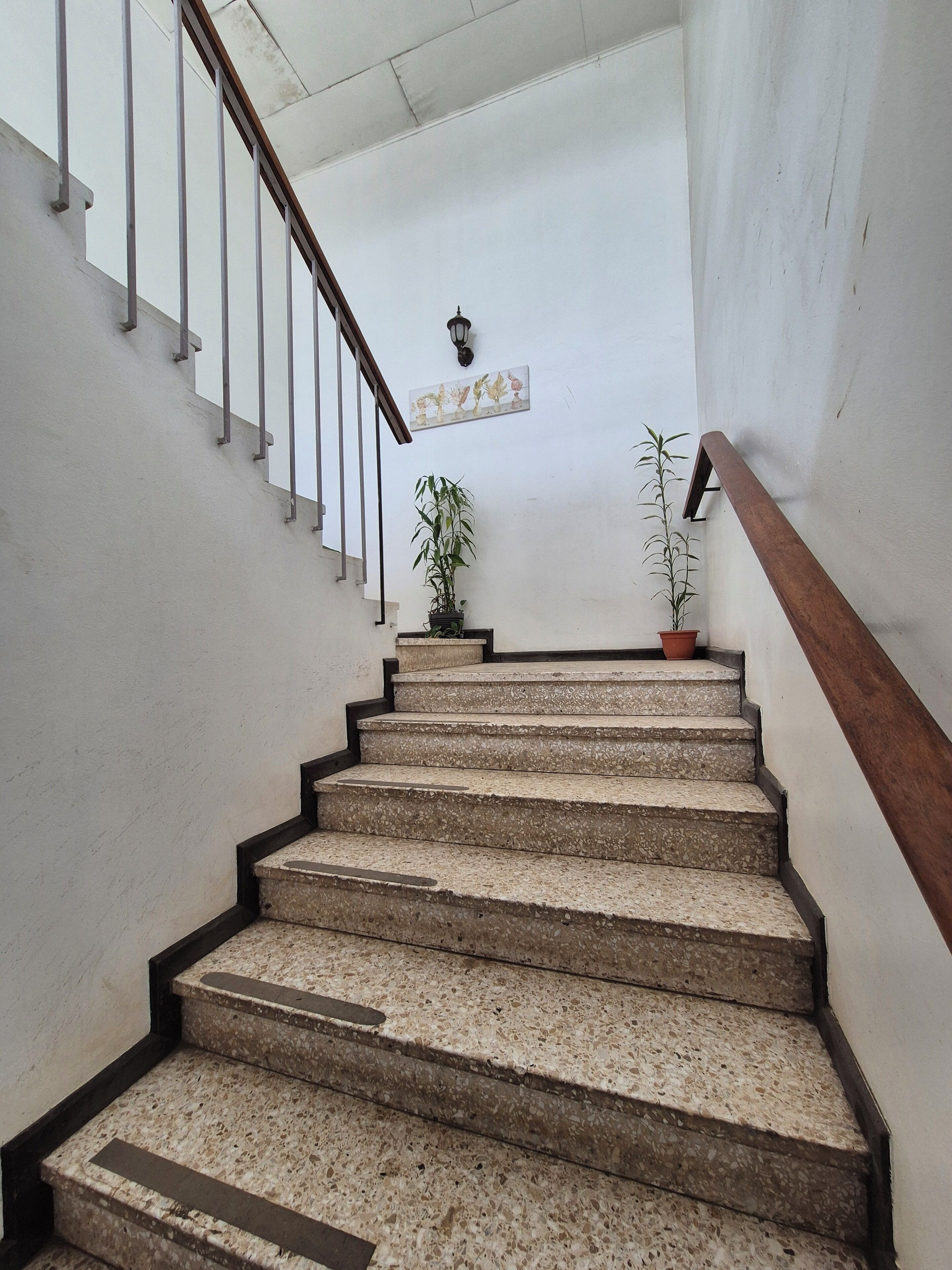A staircase with a wooden handrail, a potted plant on the landing, and a wall-mounted light fixture.