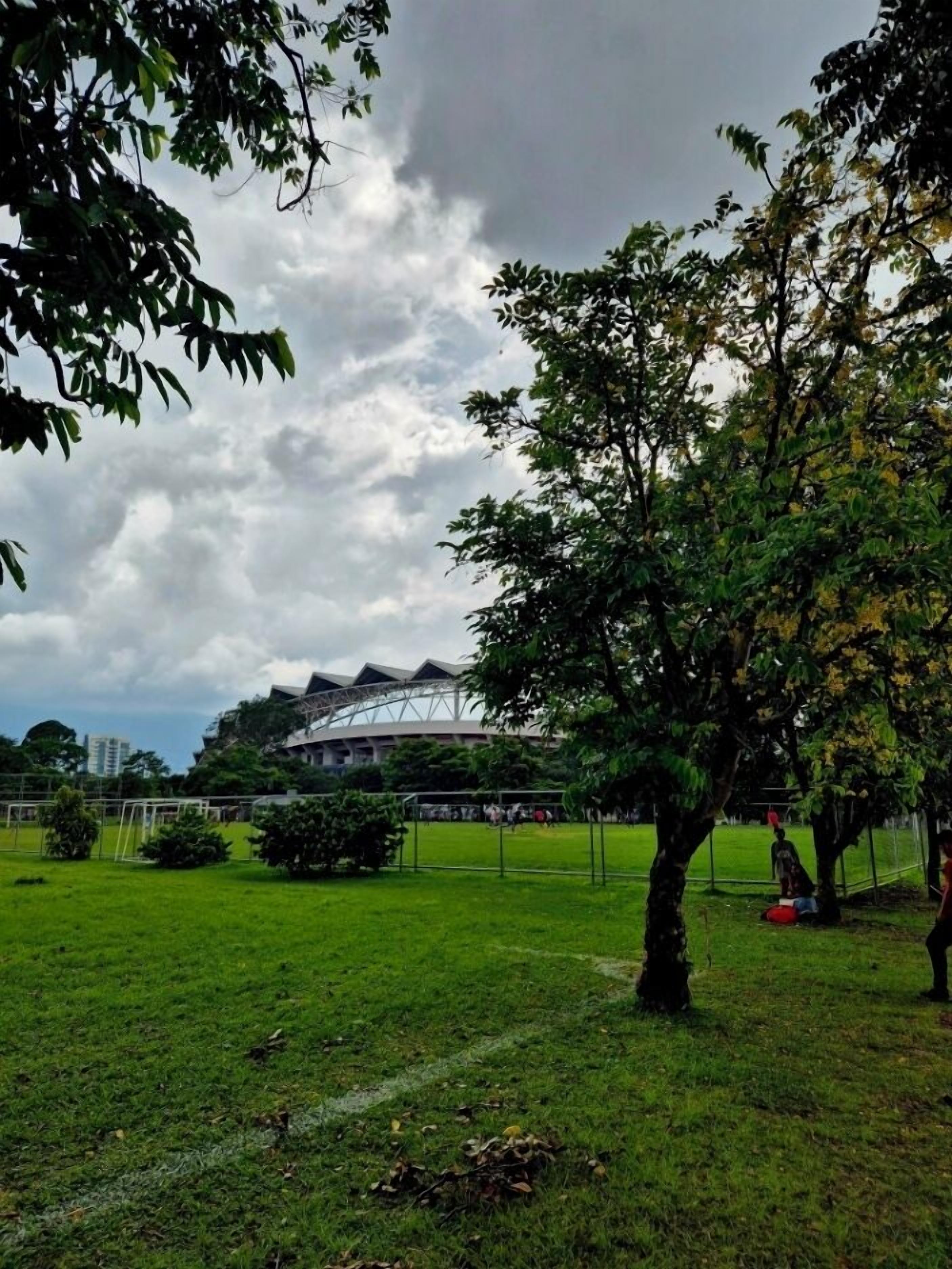 A grassy field with a large tree in the foreground and a stadium in the background.