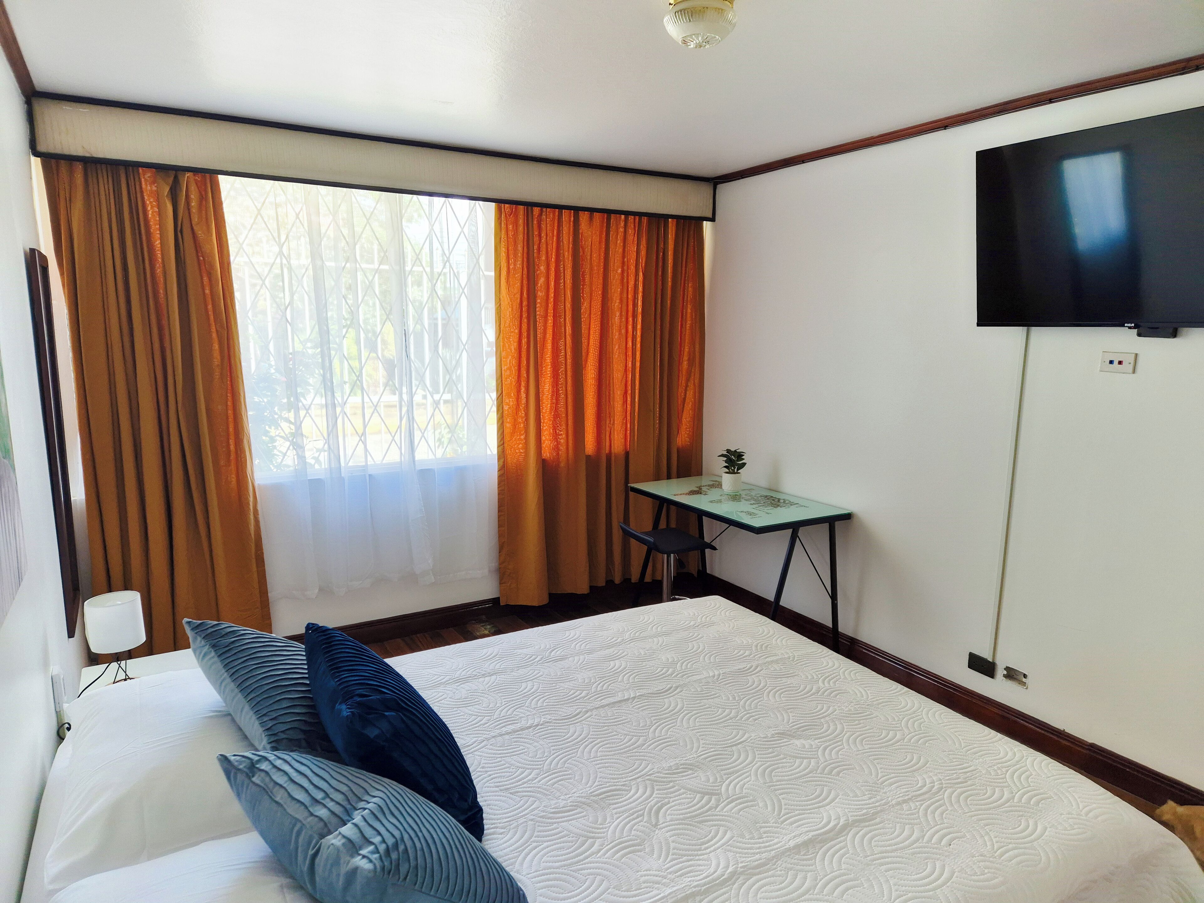 A hotel room with a bed, a desk, a TV, and a window with curtains.