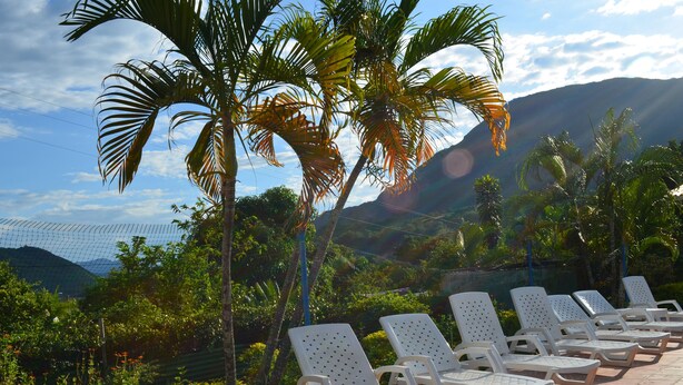 A row of white lounge chairs with perforated backs, arranged on a tiled patio with a view of lush greenery and mountains in the background.