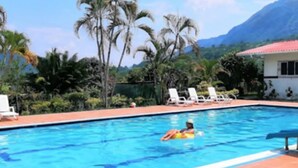A swimming pool with lounge chairs and palm trees in the background.