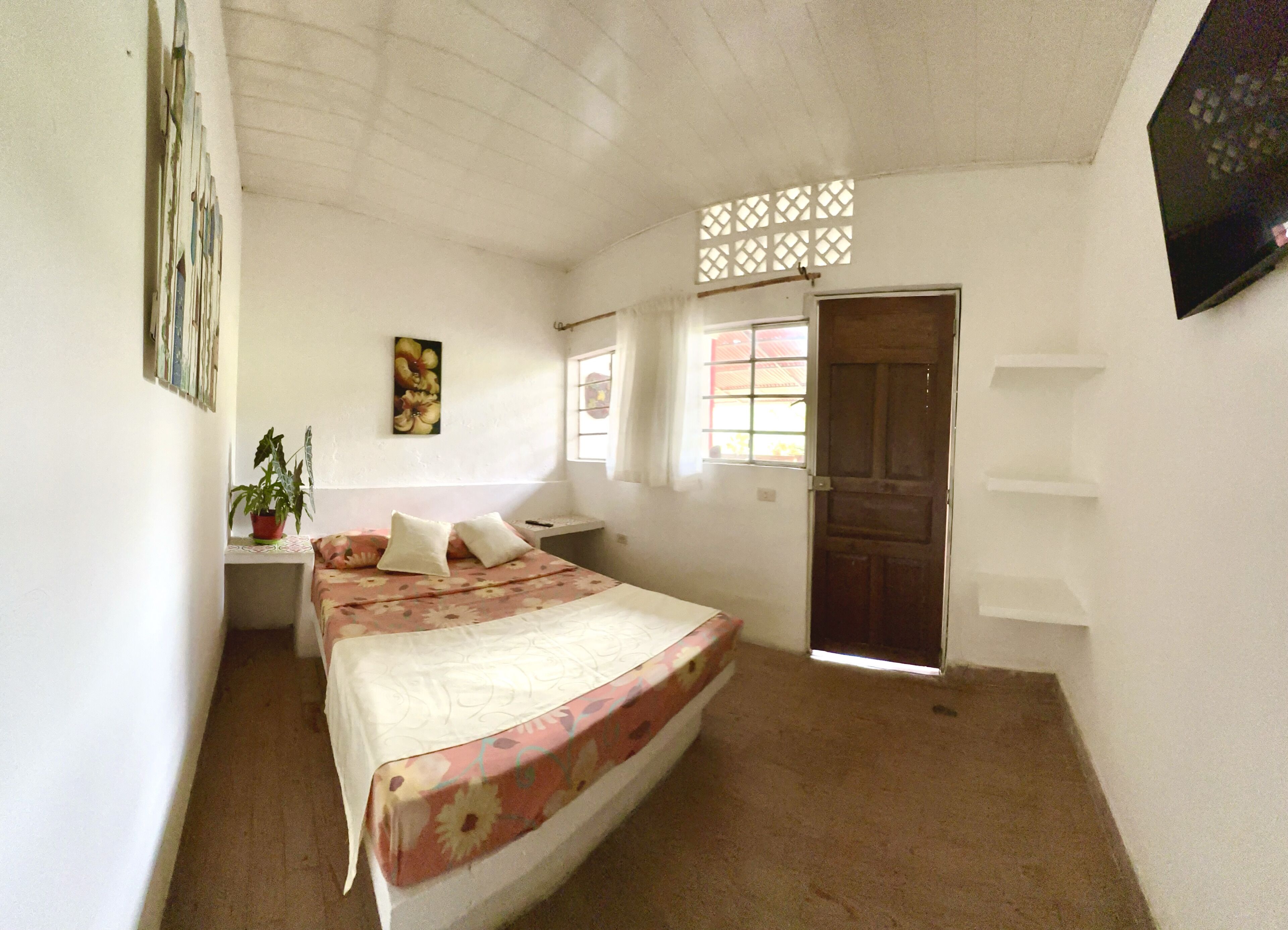 A bedroom with a bed, a nightstand, a potted plant, a window, and a door.